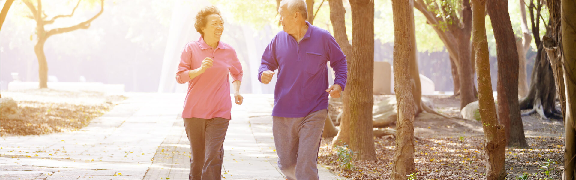 Two elderly people jog together along a sunlit, tree-lined path in a park, appearing cheerful and energetic amidst the serene natural environment.