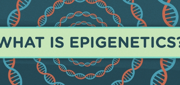 DNA strands form circular patterns against a dark background, surrounding bold text: "What is epigenetics?"