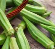 Feature Image: Okra: The Secret is in the “Slime”