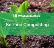 Feature Image: Soil and Composting