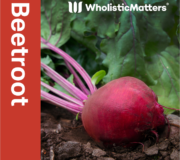 Feature Image: Beetroot: Nutrient and Phytonutrient Profile