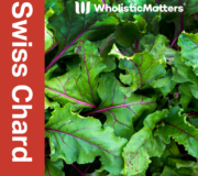 Feature Image: Swiss Chard: Nutrient and Phytonutrient Profile