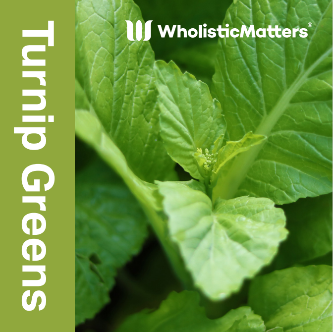 Leafy turnip greens growing vibrantly, surrounded by lush foliage. Bold text reads "Turnip Greens" vertically, with "WholisticMatters®" logo in the top right corner.