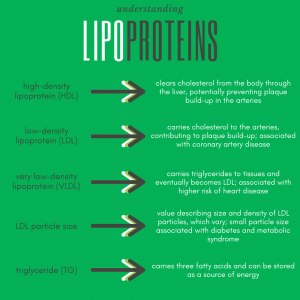 Infographic for understanding types and functions of lipoproteins.