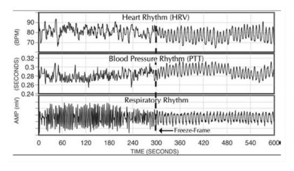 Readout representing the differences in HRV, PTT, and respiratory rhythm in a single human being.
