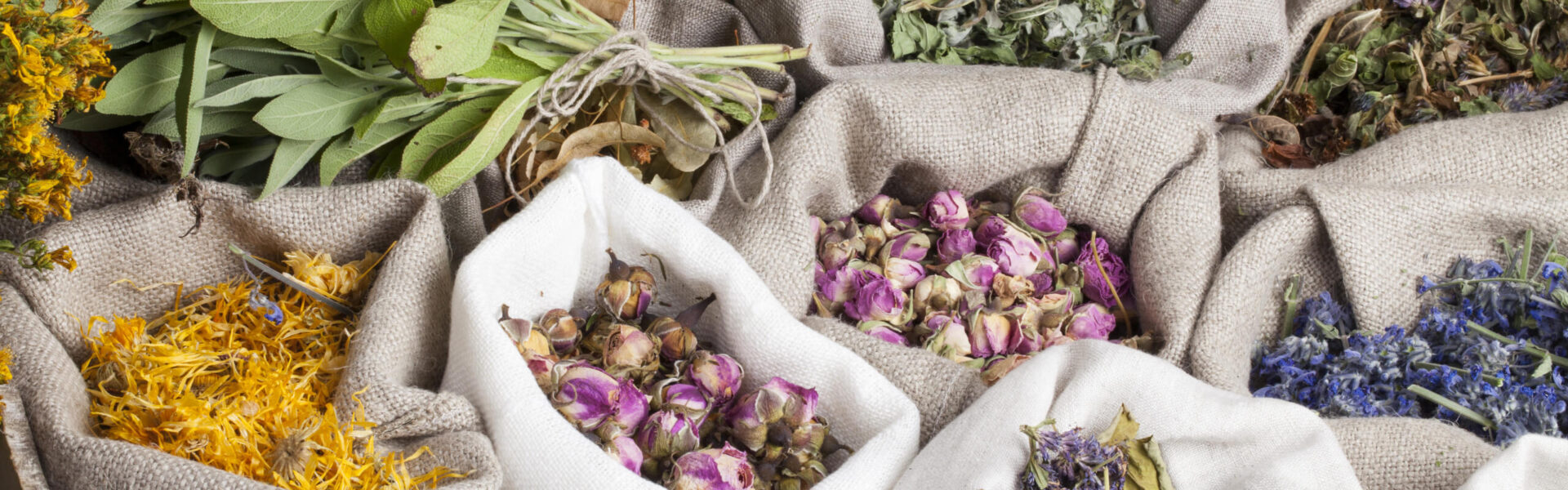 Hands chop red cabbage and peel vegetables on a wooden board surrounded by fresh produce including carrots, lemons, and tomatoes in a kitchen setting.