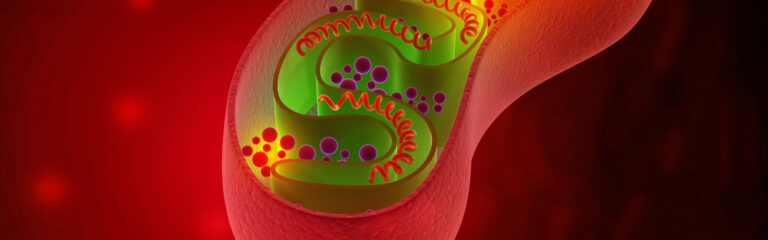 A cross-section of a human blood vessel reveals colorful elements, with green spirals and purple-red spheres, set against a vivid red background, illustrating a biological process.