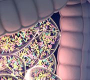 Feature Image: The Role of Microbiome