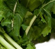 Feature Image: Turnip Greens: The Healthiest Vegetable People Are Not Eating