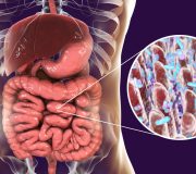 Feature Image: Gut Microbiome Disruptors