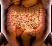 Feature Image: Gut Microbiome