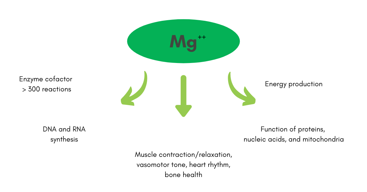 Magnesium The Nutrient WholisticMatters