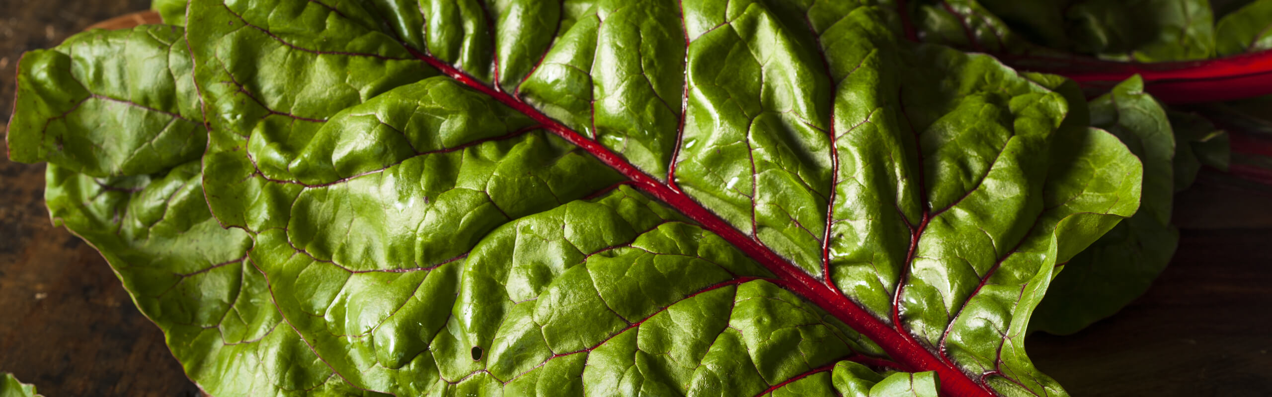 Low Maintenance and Highly Nutritious: Swiss Chard - WholisticMatters