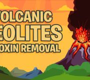 Feature Image: Volcanic Zeolites & Toxin Removal