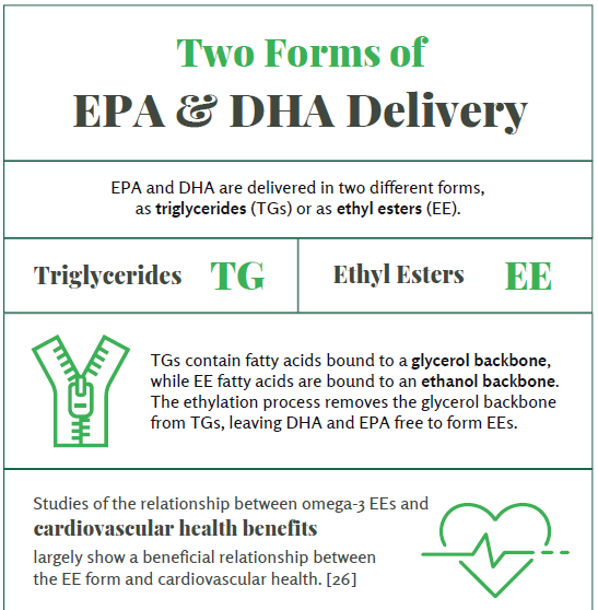 Two forms of EPA and DHA delivery described: triglycerides (TG) with a glycerol backbone, and ethyl esters (EE) with an ethanol backbone. EE is linked to cardiovascular health benefits.