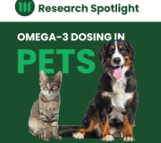 Feature Image: Omega-3 Dosing in Pets