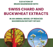 Feature Image: Elevation of Brain Magnesium with Swiss Chard and Buckwheat Extracts
