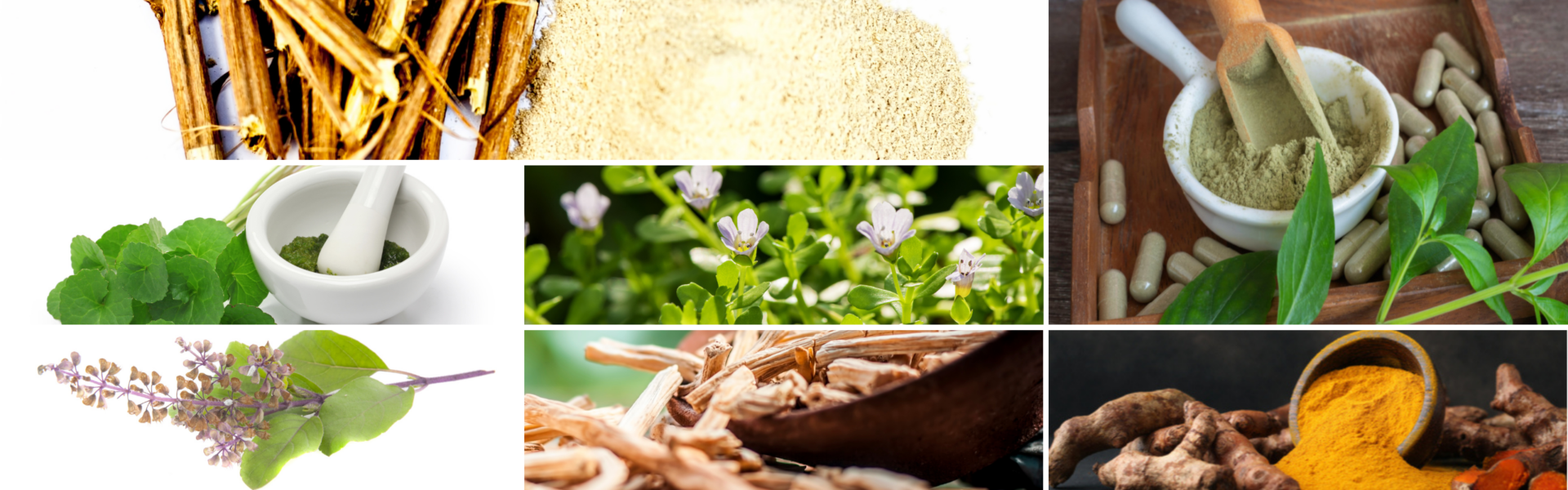 A collage of herbal remedies showing dried roots, powdered substances, green leaves, purple flowers, and capsules. They are arranged in bowls and dishes, highlighting natural ingredients and supplements.