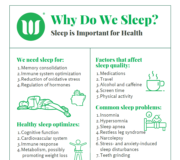 Feature Image: Why Do We Sleep?