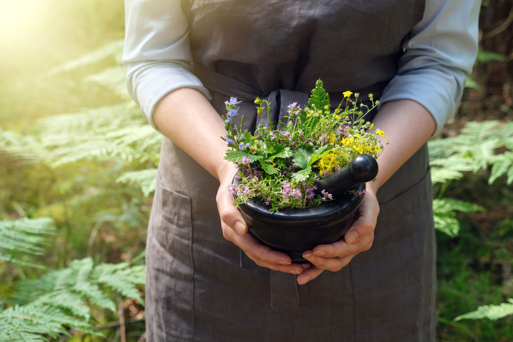 Person holds a black mortar filled with various colorful wildflowers, standing in a sunlit forest clearing.