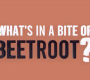 Feature Image: What’s in a Bite of Beetroot?