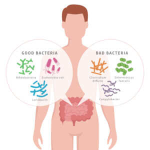 most common probiotics