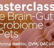 Feature Image: Masterclass: The Brain-Gut Microbiome for Pets