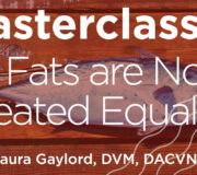 Feature Image: Masterclass: All Fats Are Not Created Equal