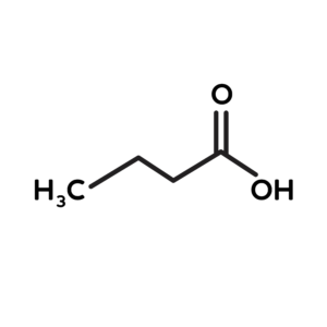 short-chain fatty acid butyrate