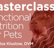 Feature Image: Masterclass: How to Integrate Functional Nutrition into Pet Patient Care