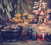 Feature Image: Four Must-Have Herbs for Your Practice