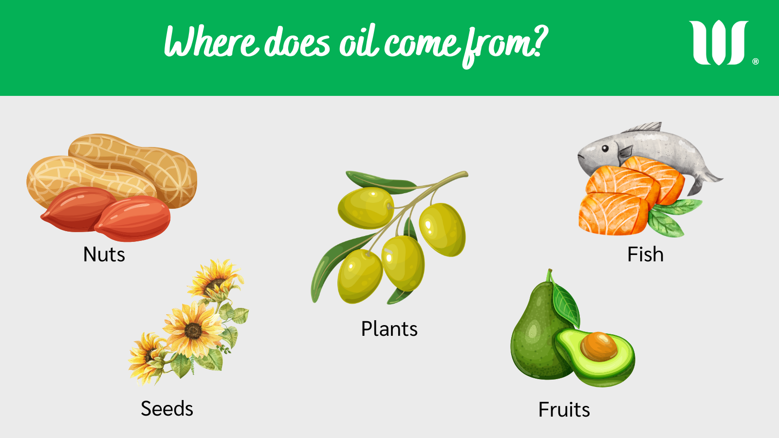 Where oils come from
