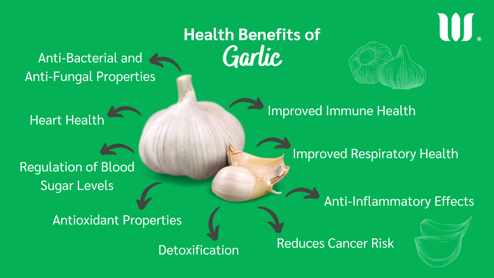 Health Benefits of Garlic Blog Post