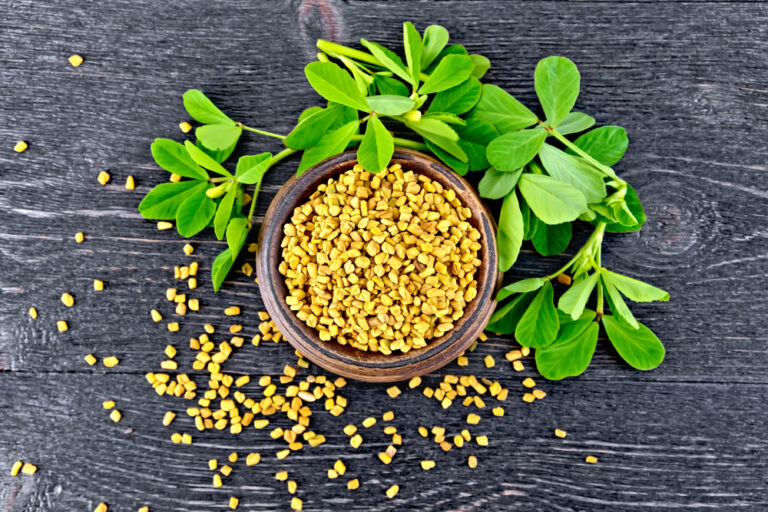 fenugreek