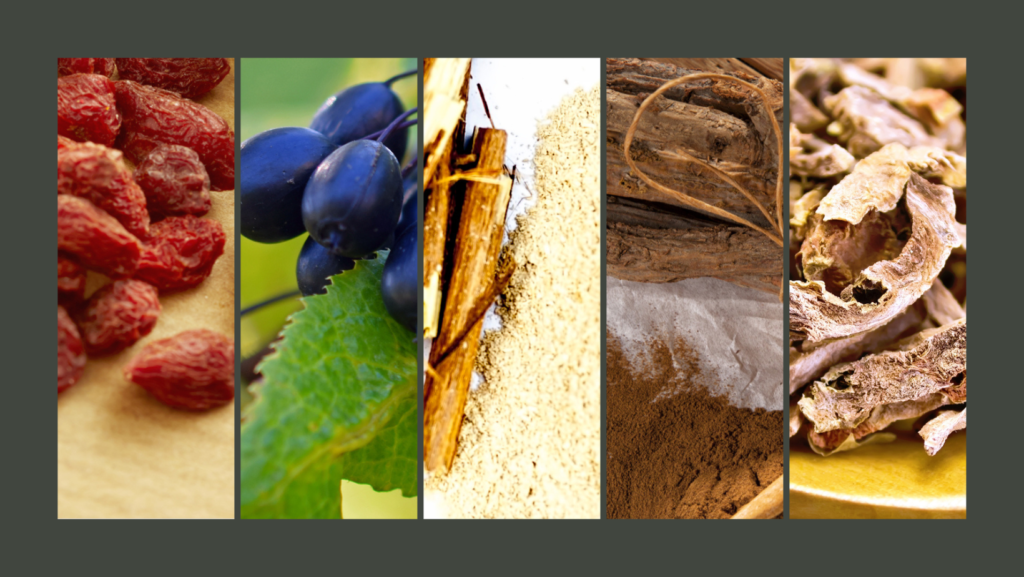 Dried red berries, fresh blue berries on a leaf, cinnamon sticks with ground powder, and dried root slices arranged vertically against a neutral background.