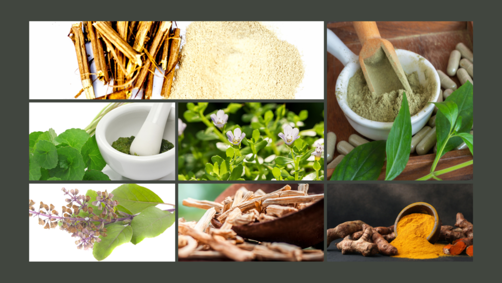 Ayurveda-Herbs-1024x577