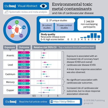 BMJ-article-environmental-toxins-and-heart-disease