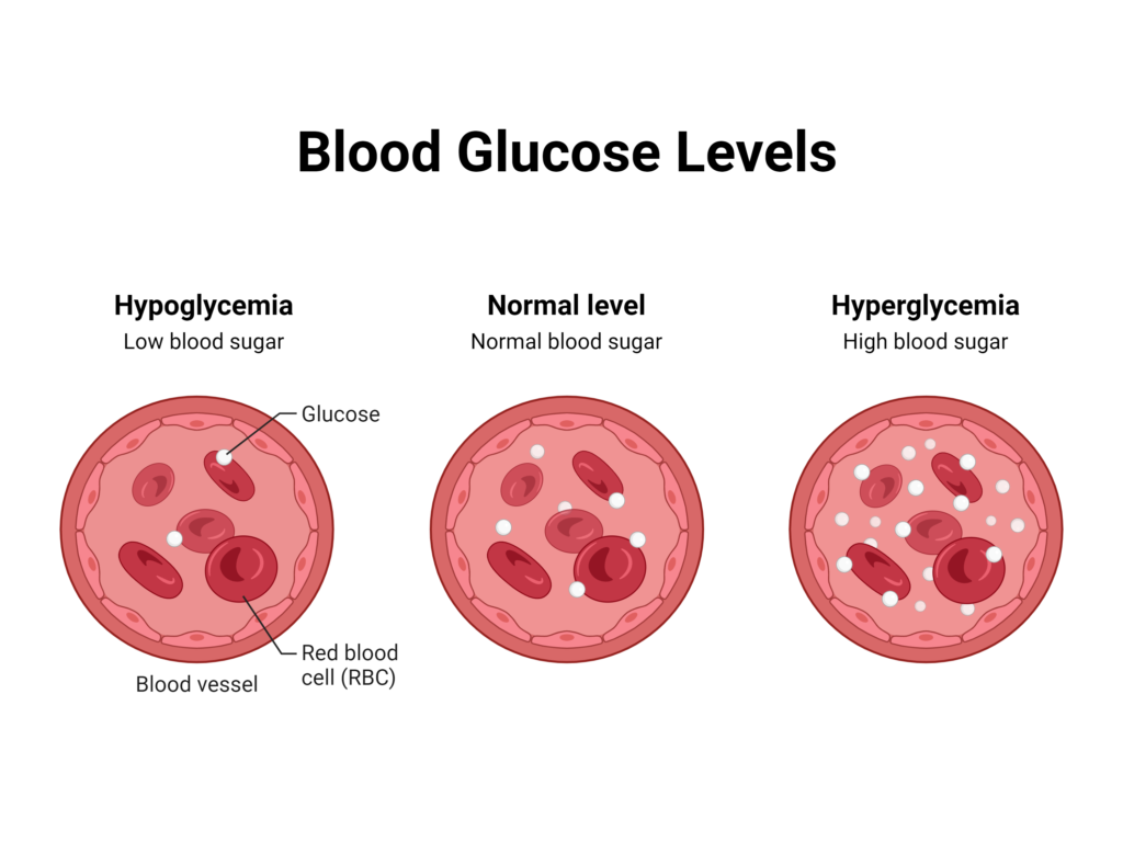 Blood-Glucose-Levels-1024x768