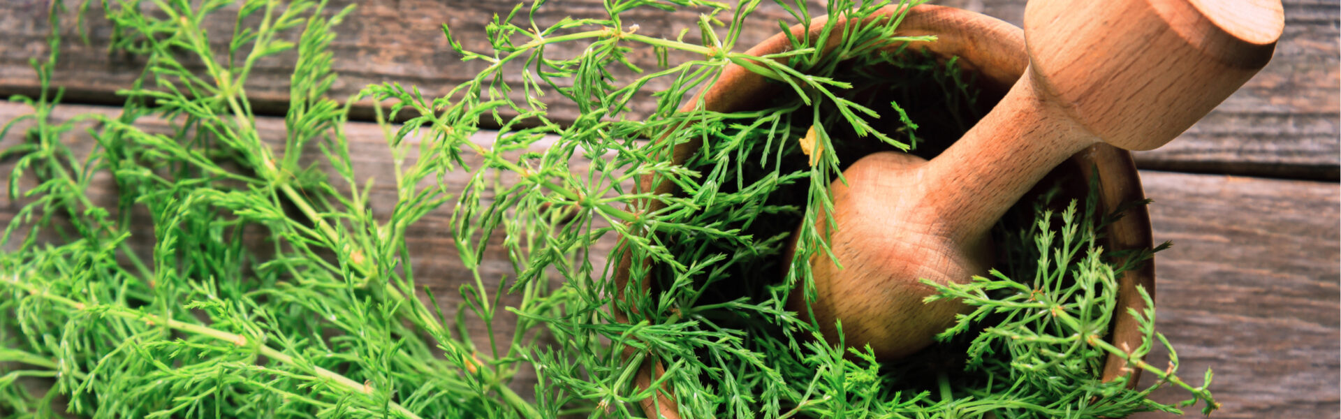 A wooden mortar and pestle partially filled with fresh green herbs sits on a rustic wooden surface, surrounded by additional herbs.