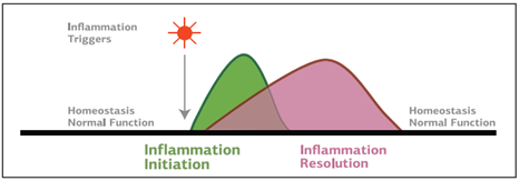 inflammation