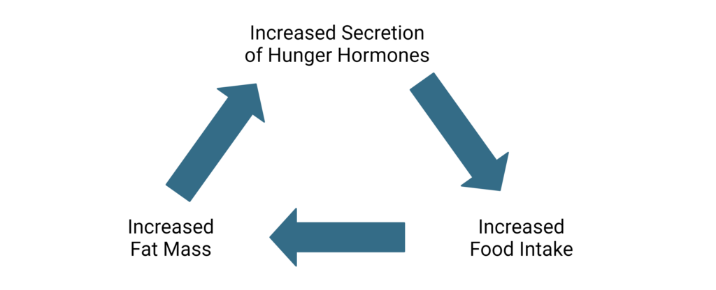 Obesity and Hunger Hormones