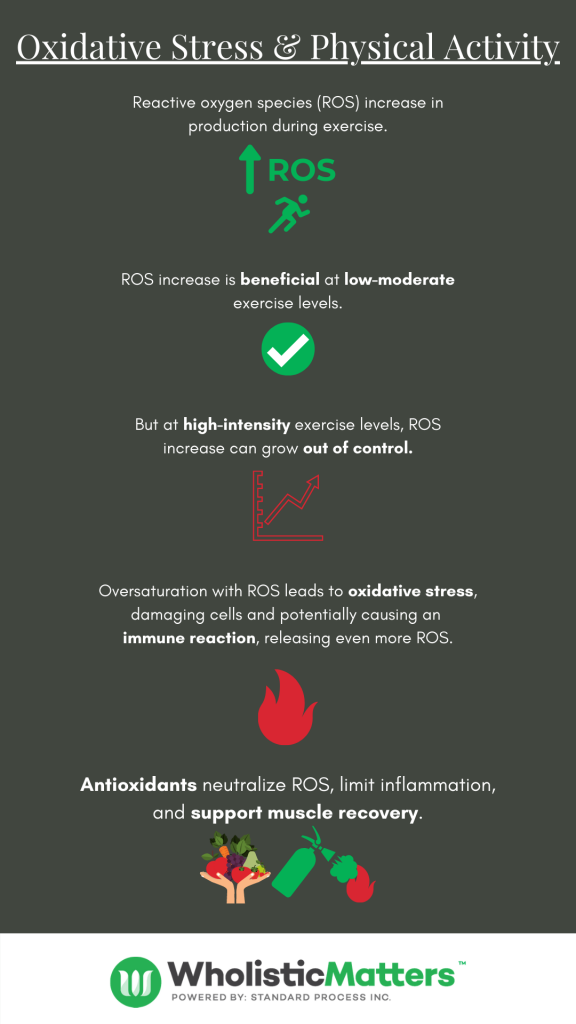 Oxidative-Stress-Physical-Activity-576x1024