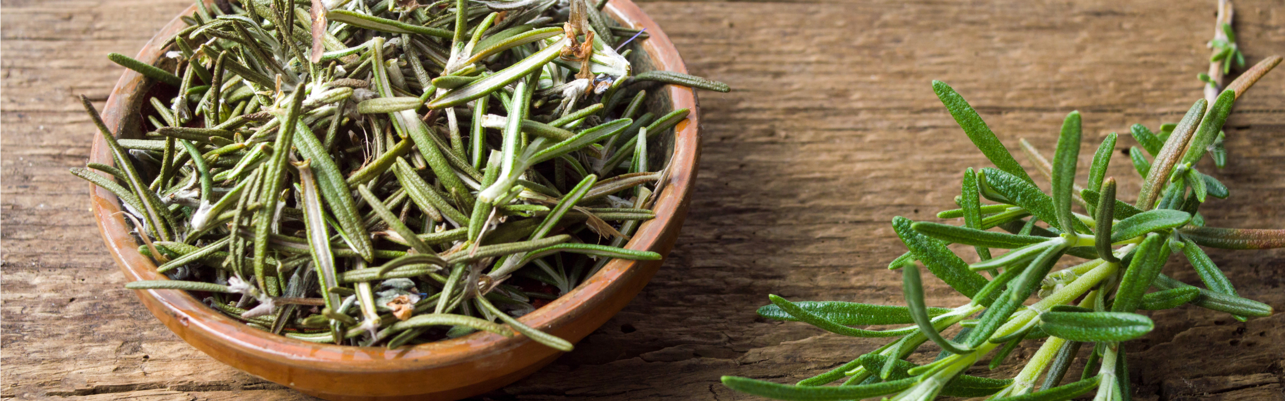 Rosemary Benefits: Anti-Inflammatory & Antioxidant Herb Guide