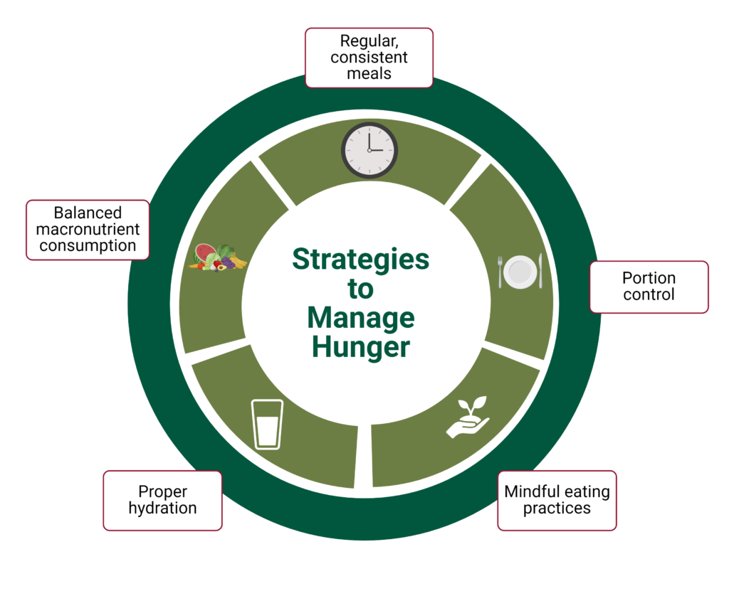 Strategies to Manage Hunger Hormones