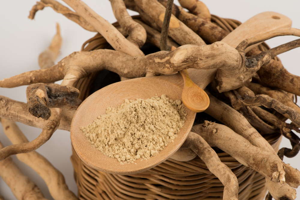 A wooden bowl holds fine, beige powder surrounded by long, thin roots on a rustic wooden surface.