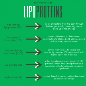 understanding-lipoproteins-300x300