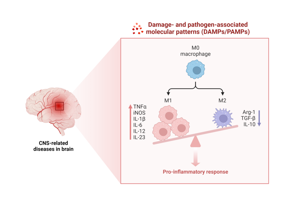 DAMPs_PAMPs Induce Neuroinflammation