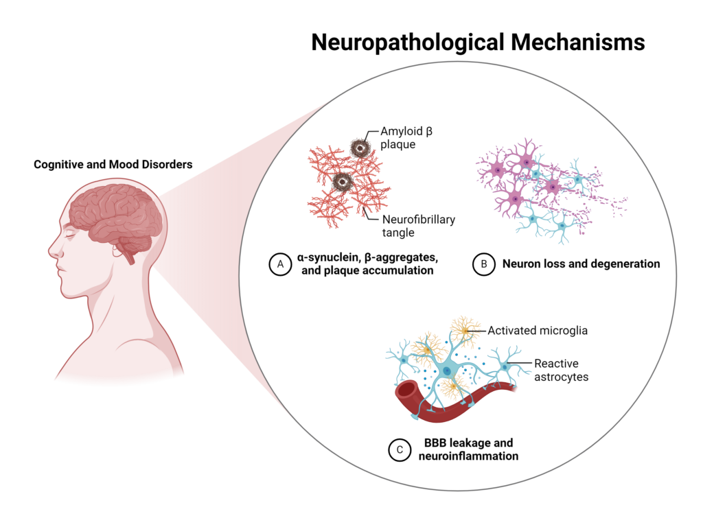 Histopathological Features of Disorders