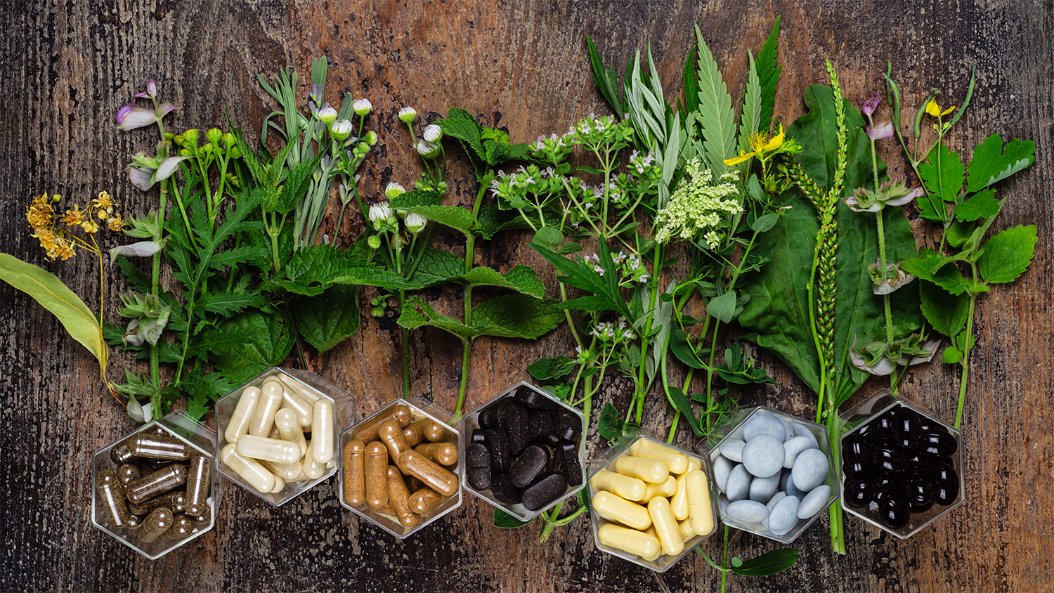fresh herbs and herbal supplements