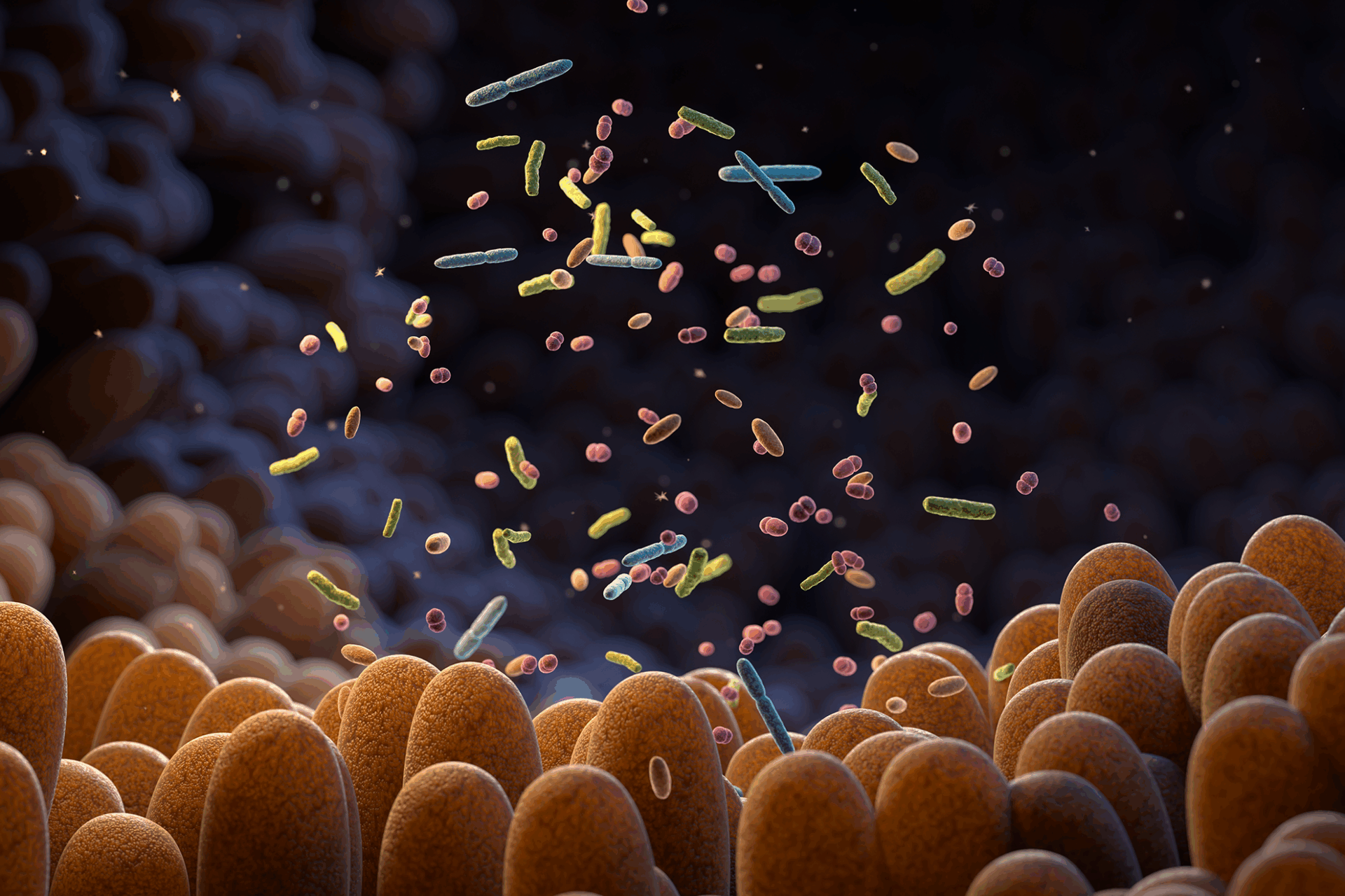 intestinal microbiome